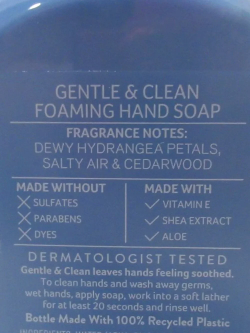ALL NEW Bath & Body Works Gentle & Clean Foaming Hand Soap SHORELINE HYDRANGEA💦